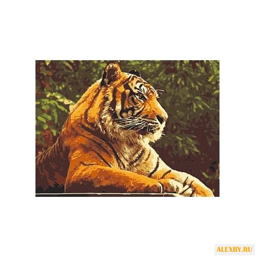 Рыжий кот Картина по номерам