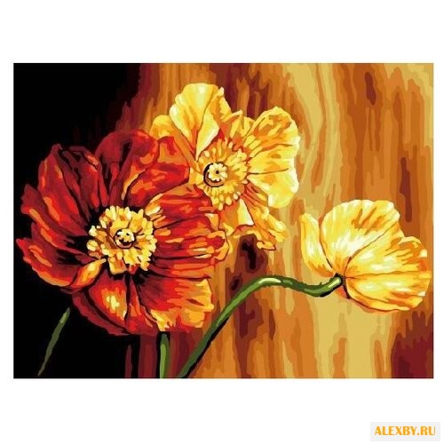 Hobbart Картина по номерам