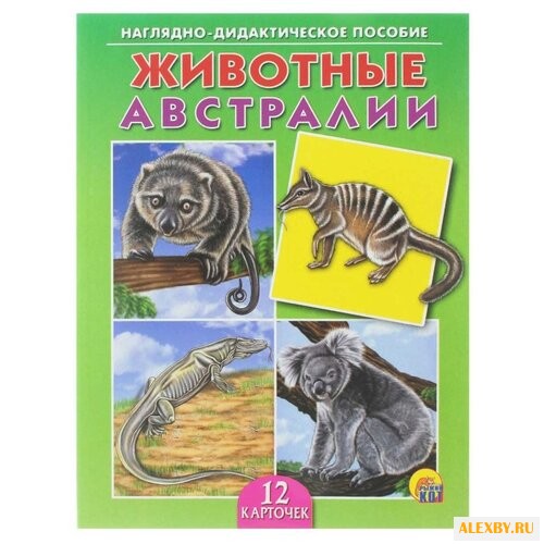 Набор карточек Рыжий кот