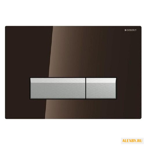 Кнопка смыва GEBERIT