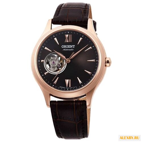 Наручные часы ORIENT AG0023Y1