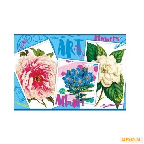 Альбом для рисования BG Art