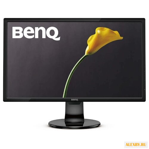 Монитор BenQ GL2460BH
