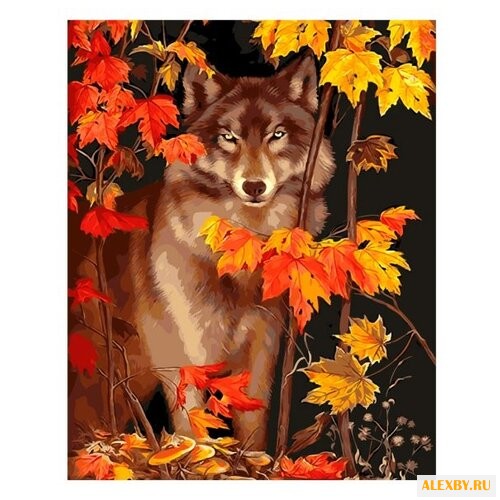 Рыжий кот Картина по номерам