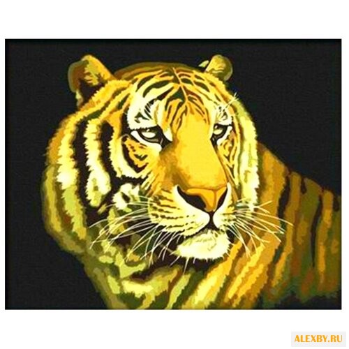 Hobbart Картина по номерам