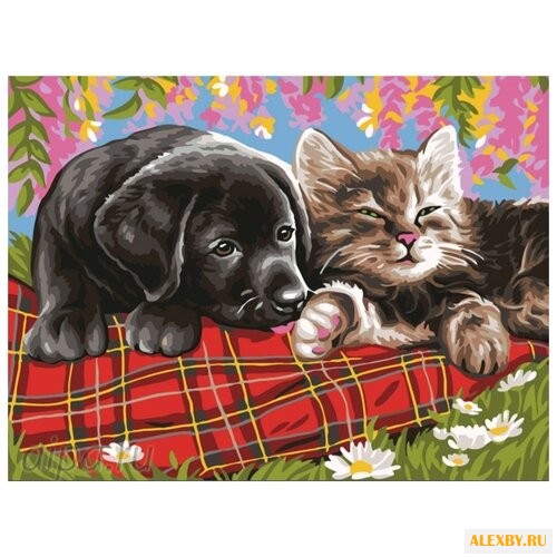 Color Kit Картина по номерам