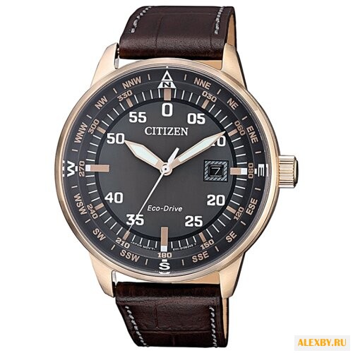 Наручные часы CITIZEN BM7393-16H