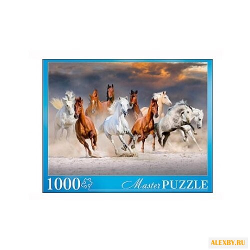 Пазл Рыжий кот Masterpuzzle