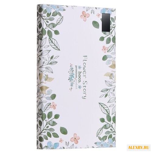 Аккумулятор Hoco B33-20000