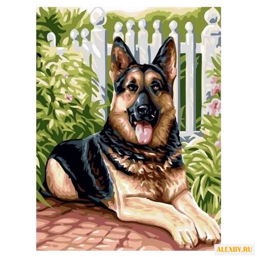 Paintboy Картина по номерам