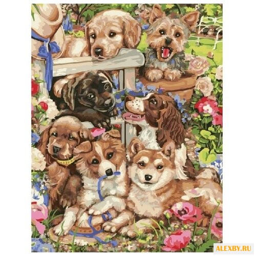 Color Kit Картина по номерам