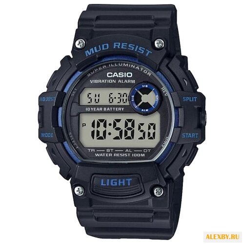 Наручные часы CASIO TRT-110H-2A