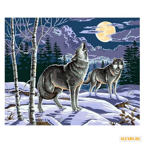 Белоснежка Картина по номерам