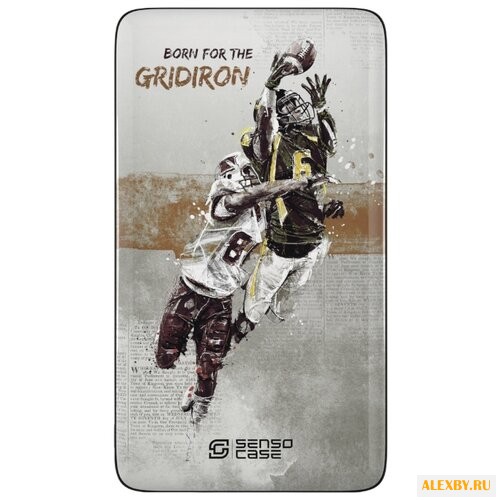 Аккумулятор Sensocase Power