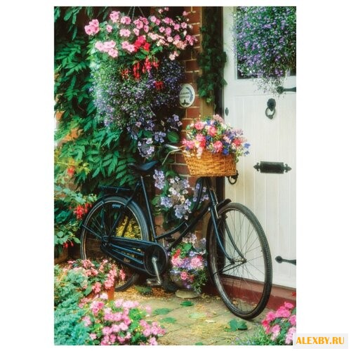 Цветной Картина по номерам