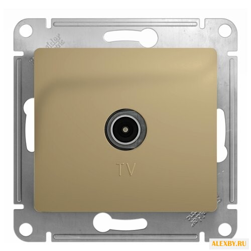 Антенное гнездо Schneider