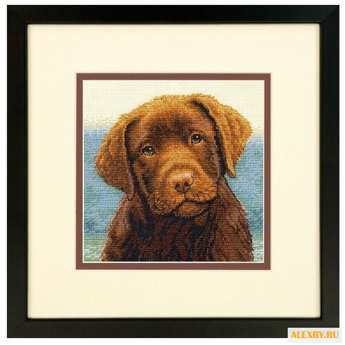 Dimensions Набор для вышивания