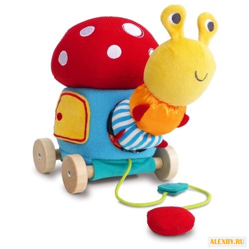 Каталка-игрушка Little Bird