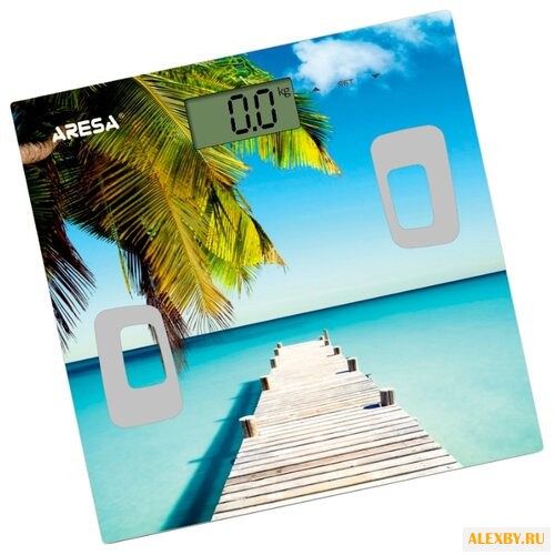 Весы ARESA SB-316