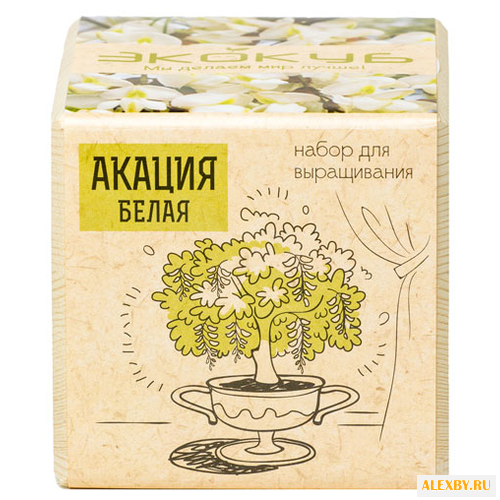 Набор для выращивания Эйфорд