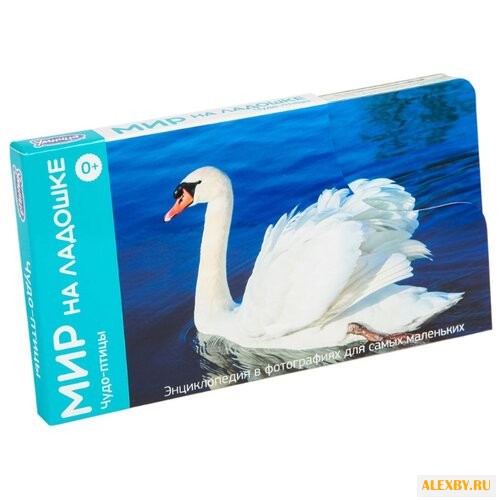 Набор карточек Умница Мир на