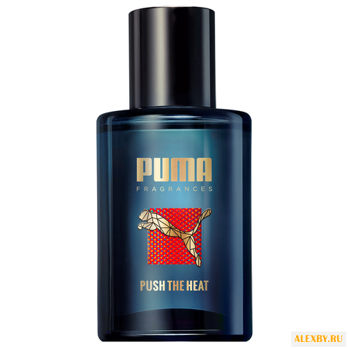 PUMA Push the Heat
