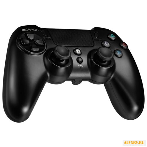 Геймпад Canyon CND-GPW5