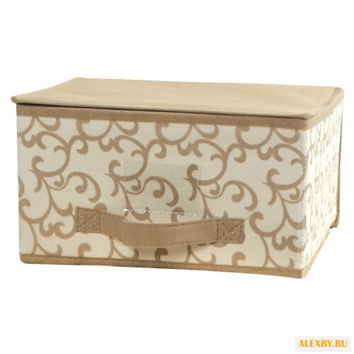 HAUSMANN Кофр для хранения