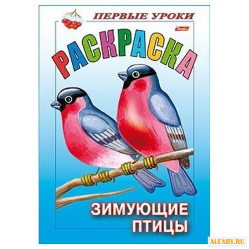 Hatber Раскраска. Первые уроки.