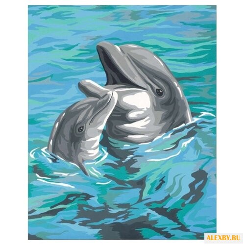 Dimensions Картина по номерам