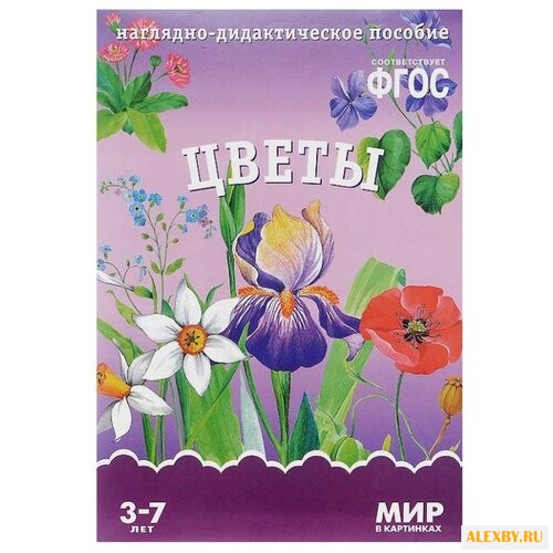 Набор карточек Мозаика-Синтез