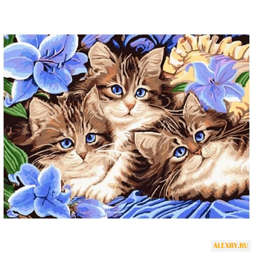 Color Kit Картина по номерам