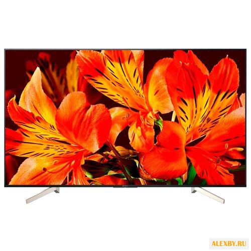 Телевизор Sony KD-65XF8596
