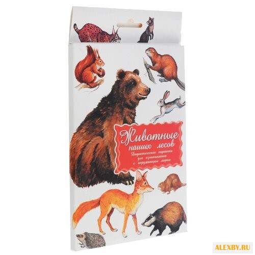 Набор карточек Маленький гений