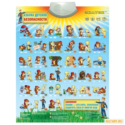 Электронный плакат Знаток