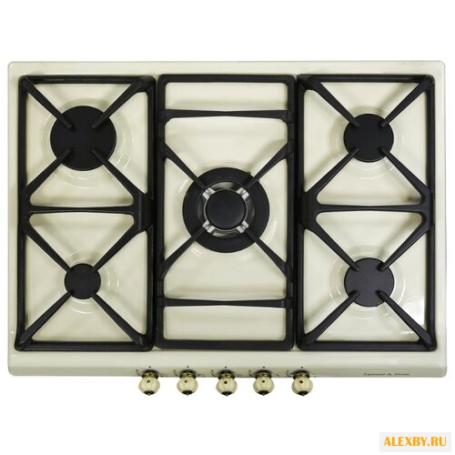 Варочная панель Zigmund &