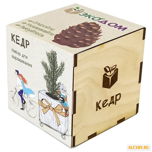 Набор Эко Клуб Кедр