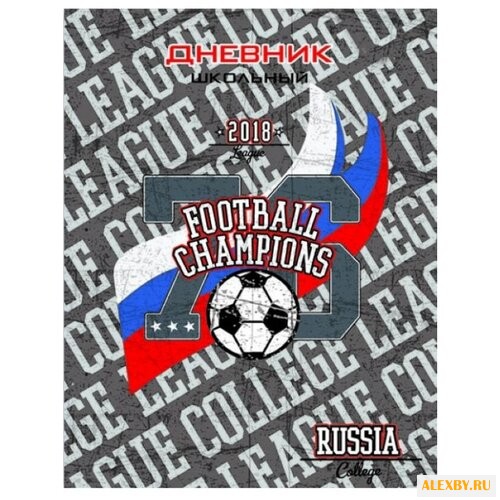 Феникс Дневник школьный