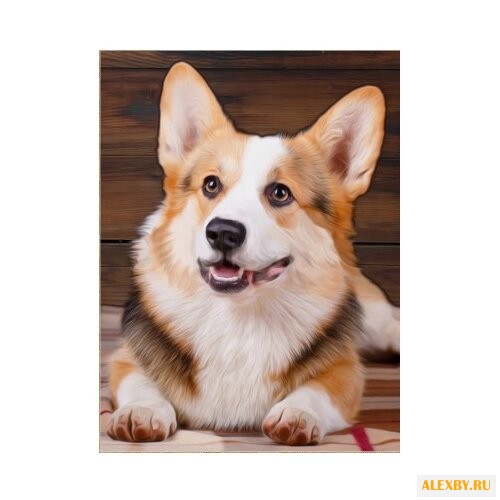 Алмазная живопись Набор