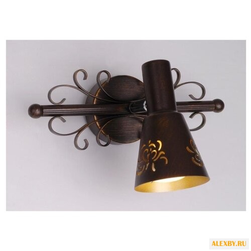 Спот Citilux Дункан CL529511