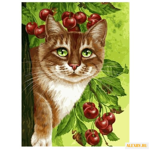 Белоснежка Картина по номерам