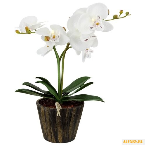 Ночник Globo Lighting