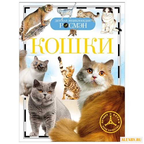 Широнина Е. Детская