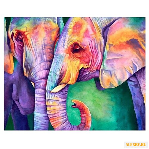 Алмазная живопись Набор