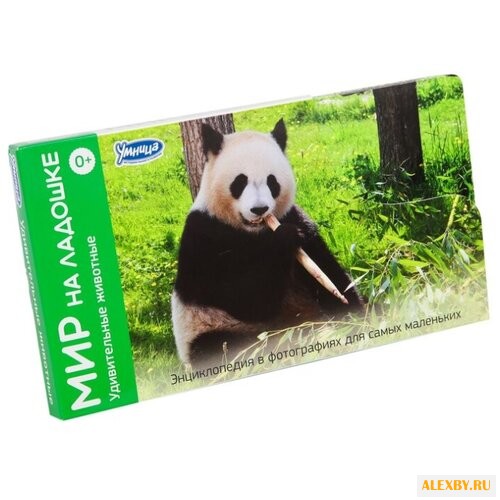 Набор карточек Умница Мир на