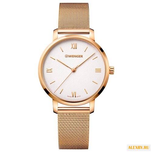 Наручные часы WENGER 01.1731.107