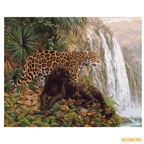 Paintboy Картина по номерам