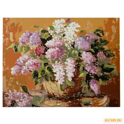 Рыжий кот Картина по номерам