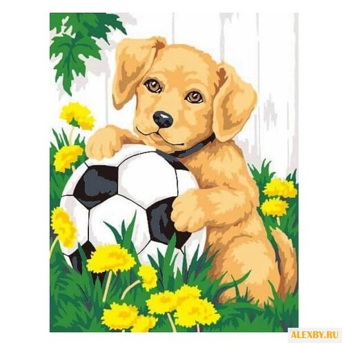 Dimensions Картина по номерам