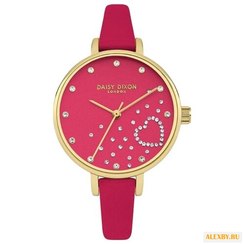 Наручные часы DAISY DIXON DD083PG